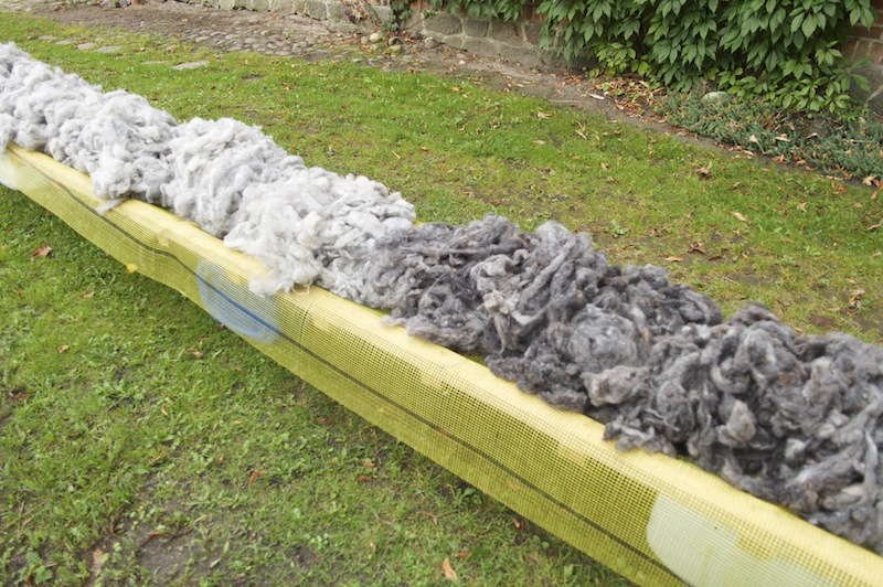 lose Schafwolle dicht
